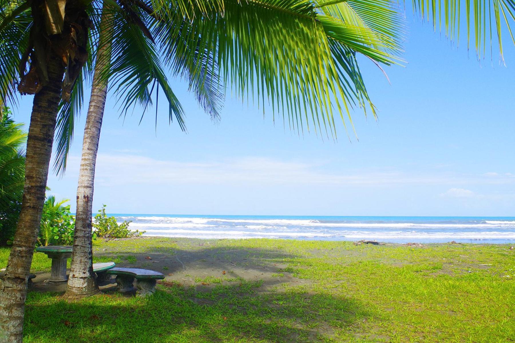 Casa Caribbean Coconut Hotel Cahuita Buitenkant foto