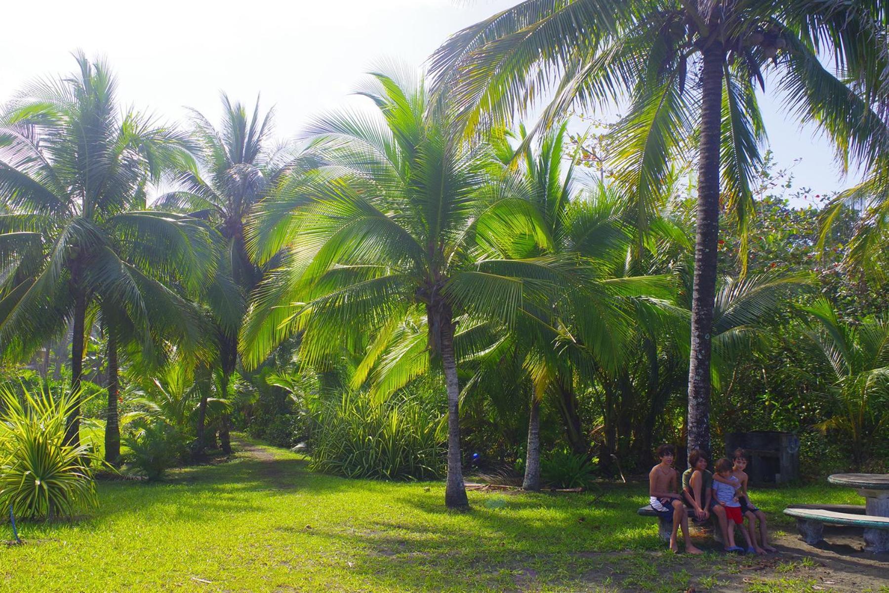 Casa Caribbean Coconut Hotel Cahuita Buitenkant foto